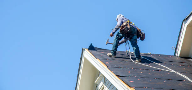 Gutter Installation and Roofing in Fruitland, NC